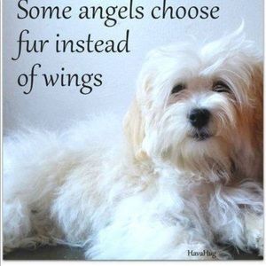 Meet your Posher, Alisha